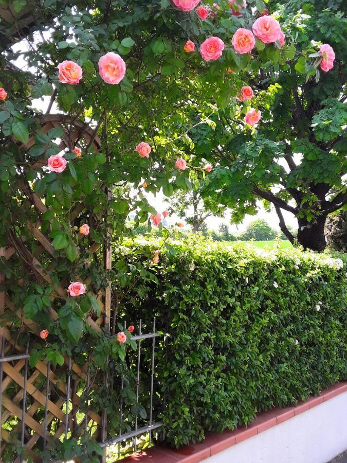 B&B La Rosa Gialla Maranello Exterior photo